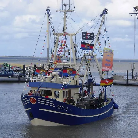 Lachmoewe Dornumersiel