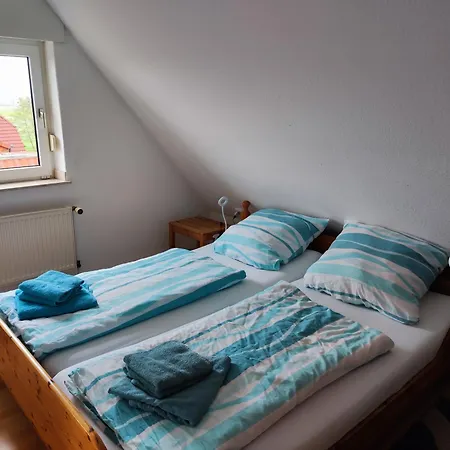 Lachmöwe Dornumersiel