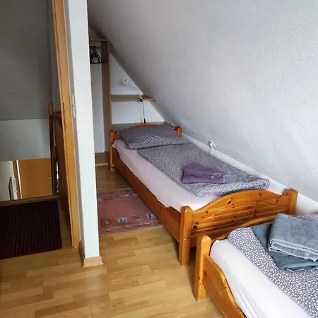 Lachmöwe * Dornumersiel