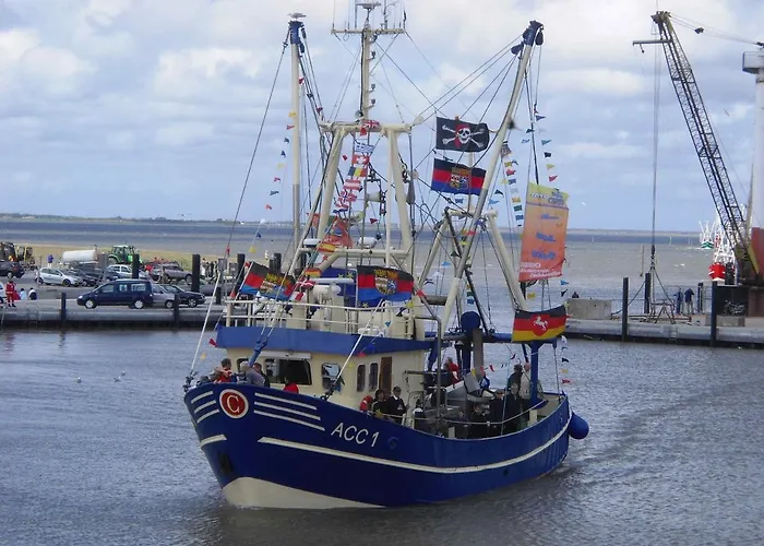 Lachmoewe Dornumersiel