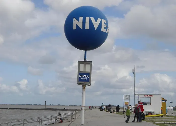 Lachmoewe *