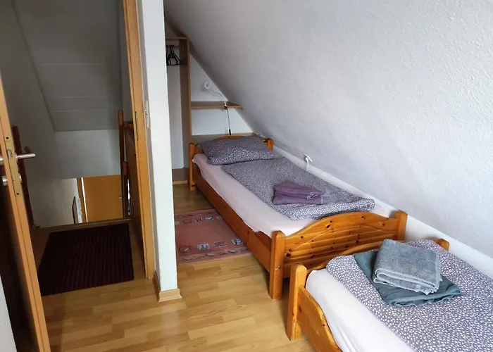 Lachmoewe * Dornumersiel